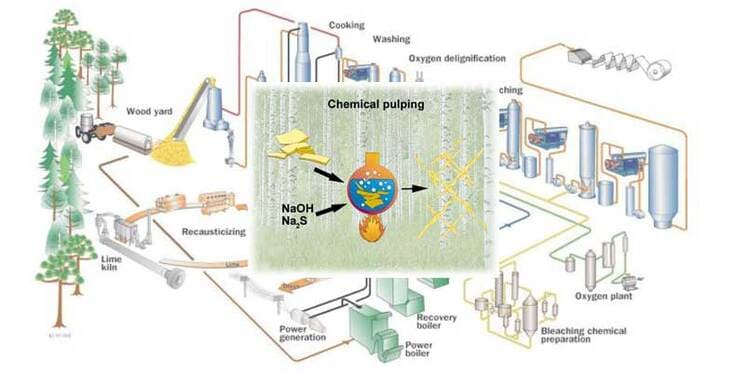 العملية المبتكرة للفة الأصلية للمواد الخام للمناديل الورقية